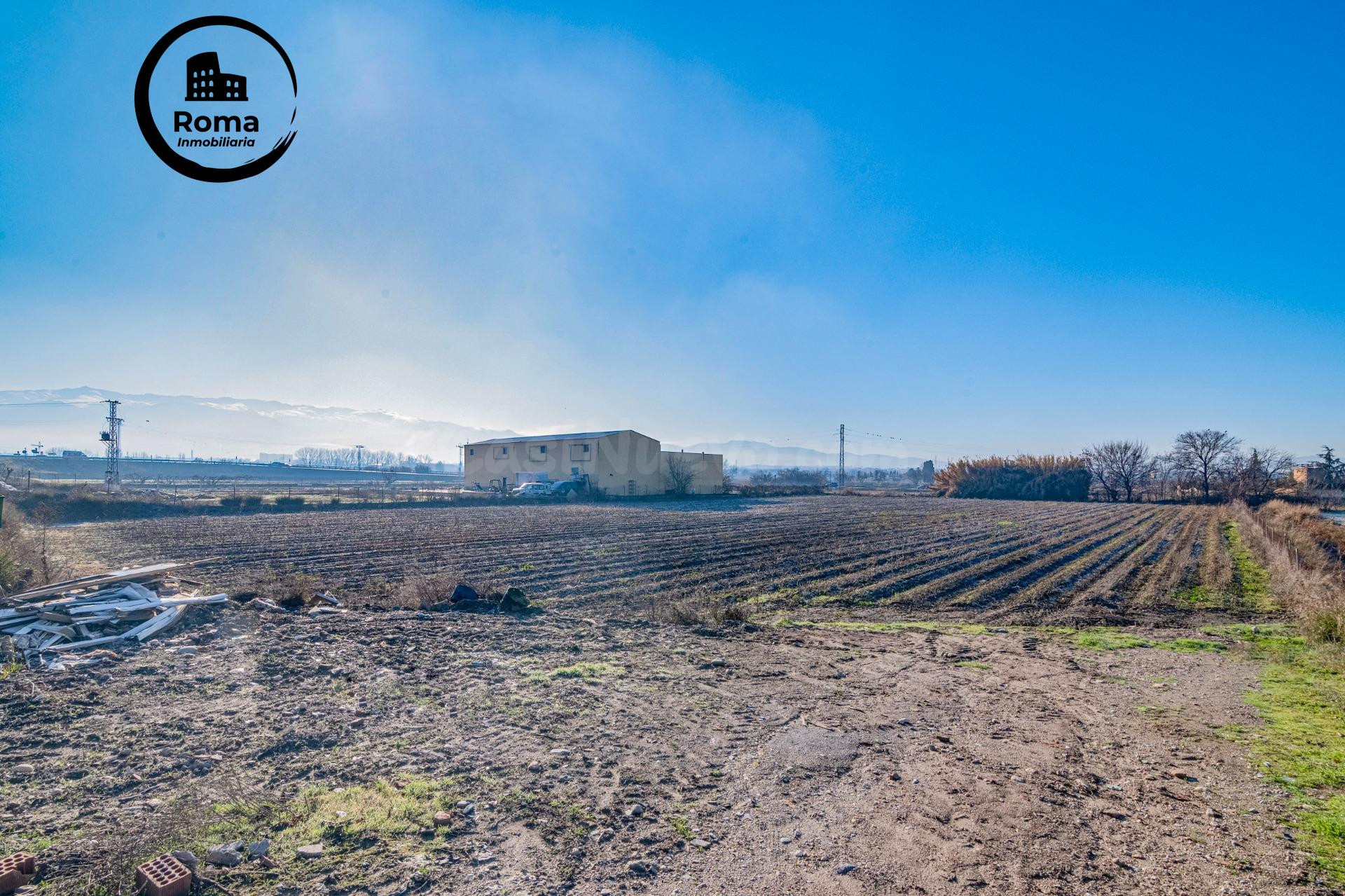Excelente finca de regadío en la Vega de Granada, con acceso - foto 4