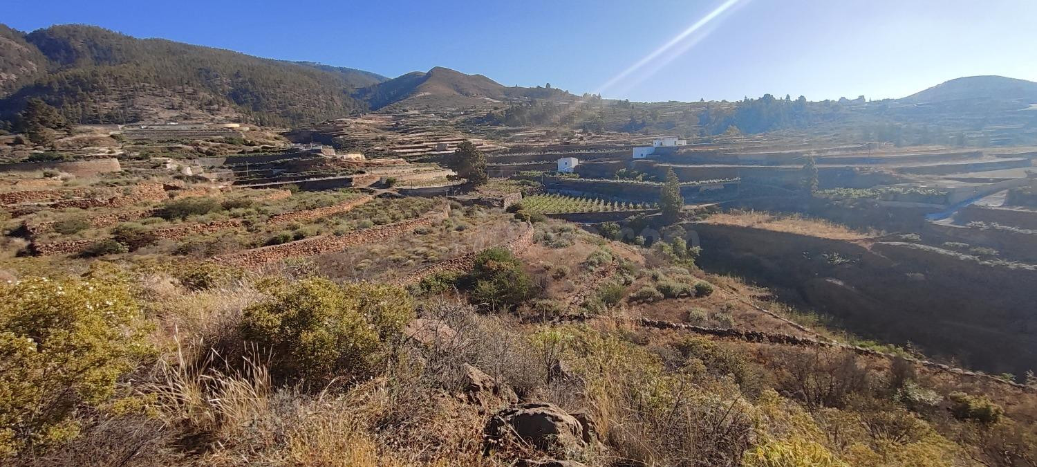 FINCA AGRÍCOLA EN GRANADILLA DE ABONA.