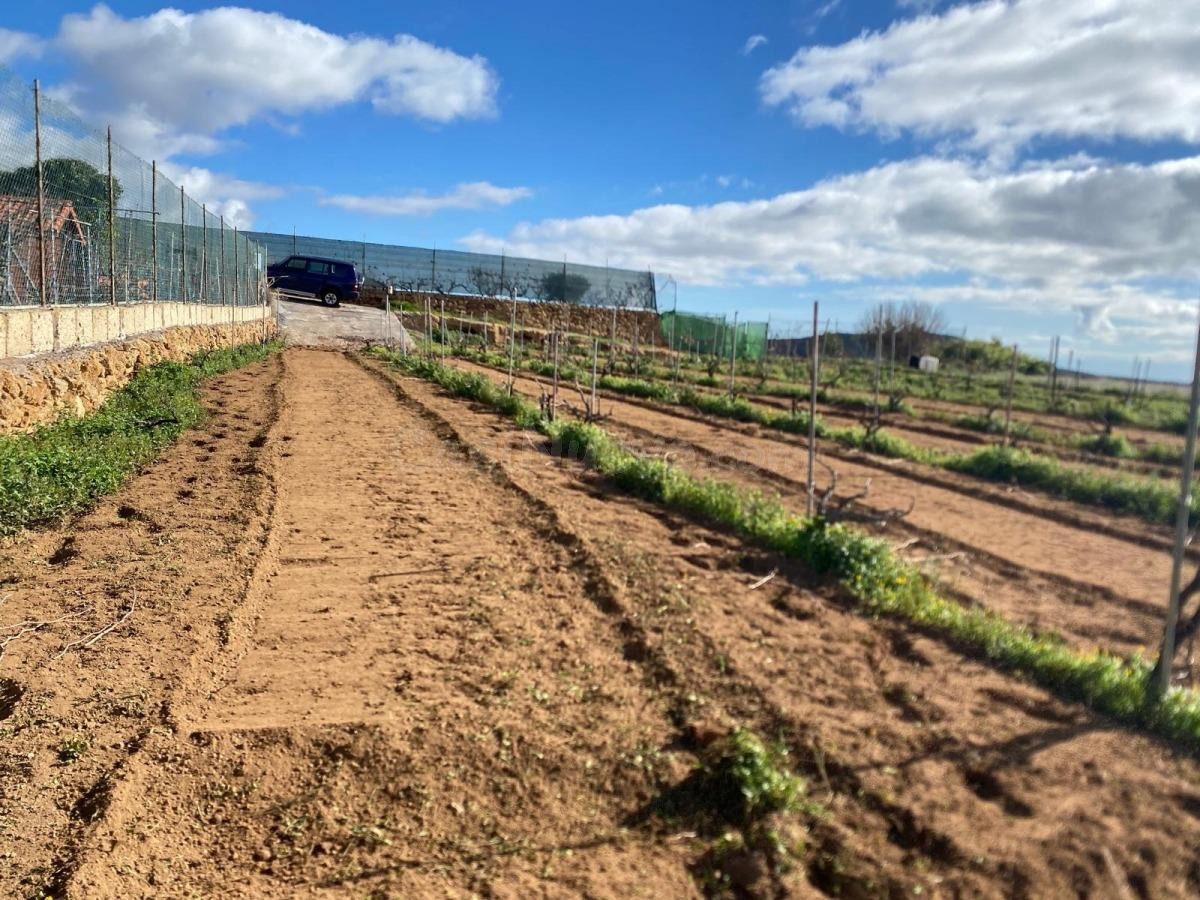 Finca Agrícola en Charco del Pino, Granadilla de Abona.