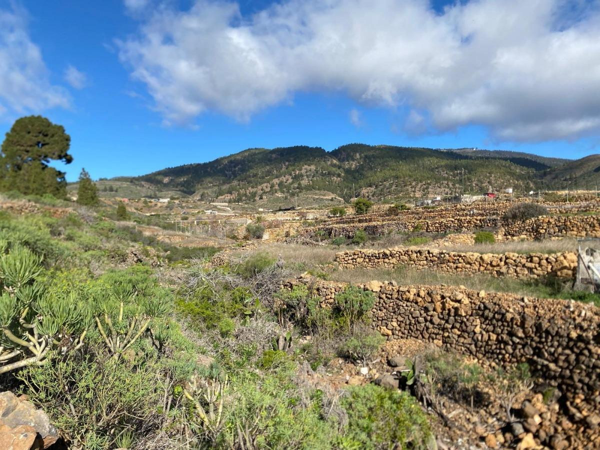 Finca Agrícola en Charco del Pino, Granadilla de Abona. - foto 2