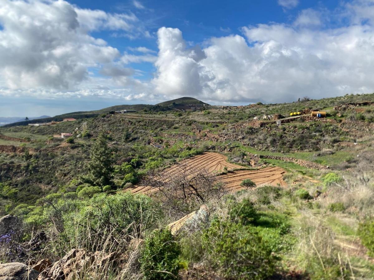 Finca Agrícola en Charco del Pino, Granadilla de Abona. - foto 3
