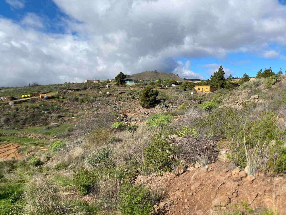 Finca Agrícola en Charco del Pino, Granadilla de Abona. - foto 4