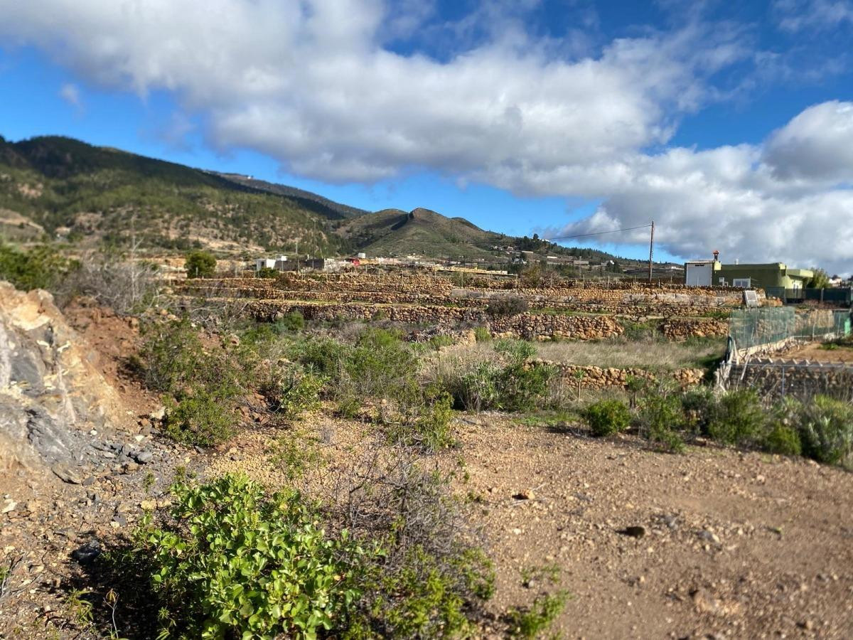 Finca Agrícola en Charco del Pino, Granadilla de Abona. - foto 5