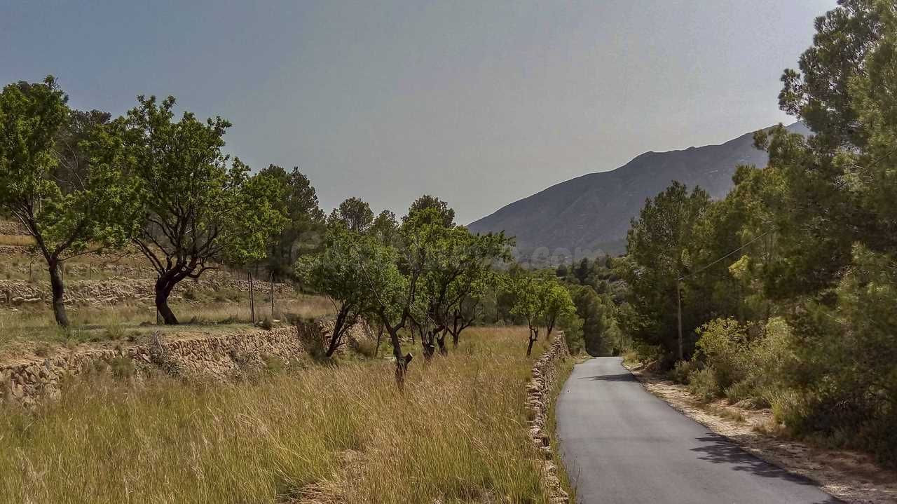 Gran parcela de más de 15.000 m2 en Beniss - foto 4