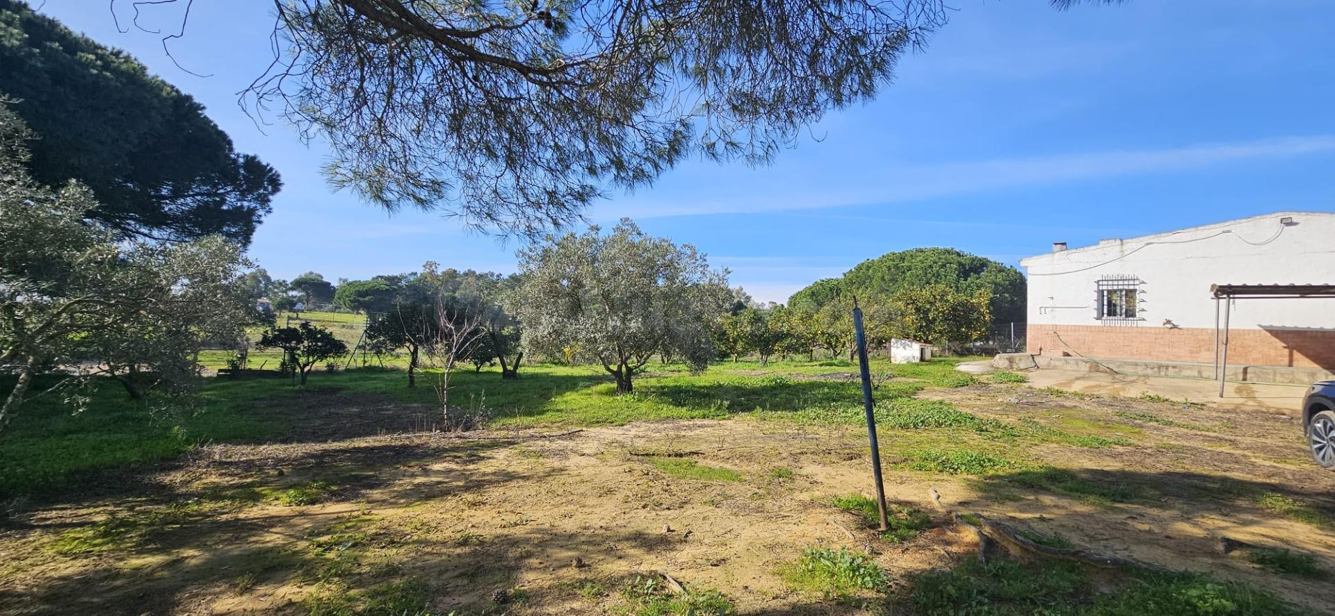 Preciosa finca situada en la Calvilla, Gibraleón (Huelva) - foto 5
