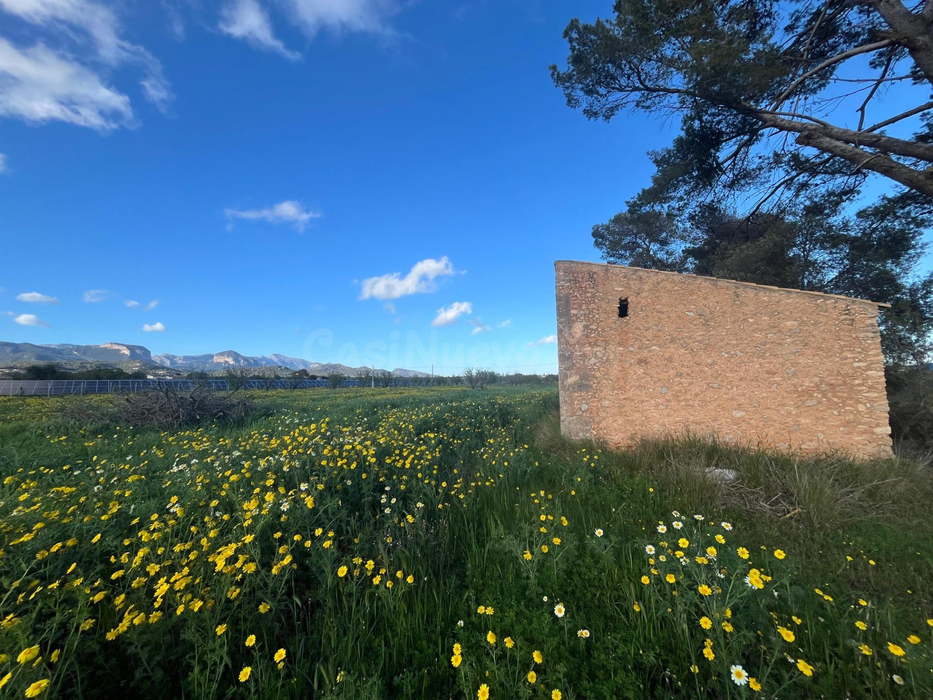 Finca rústica edificable de 21.000 m2 en Santa Maria del Camí