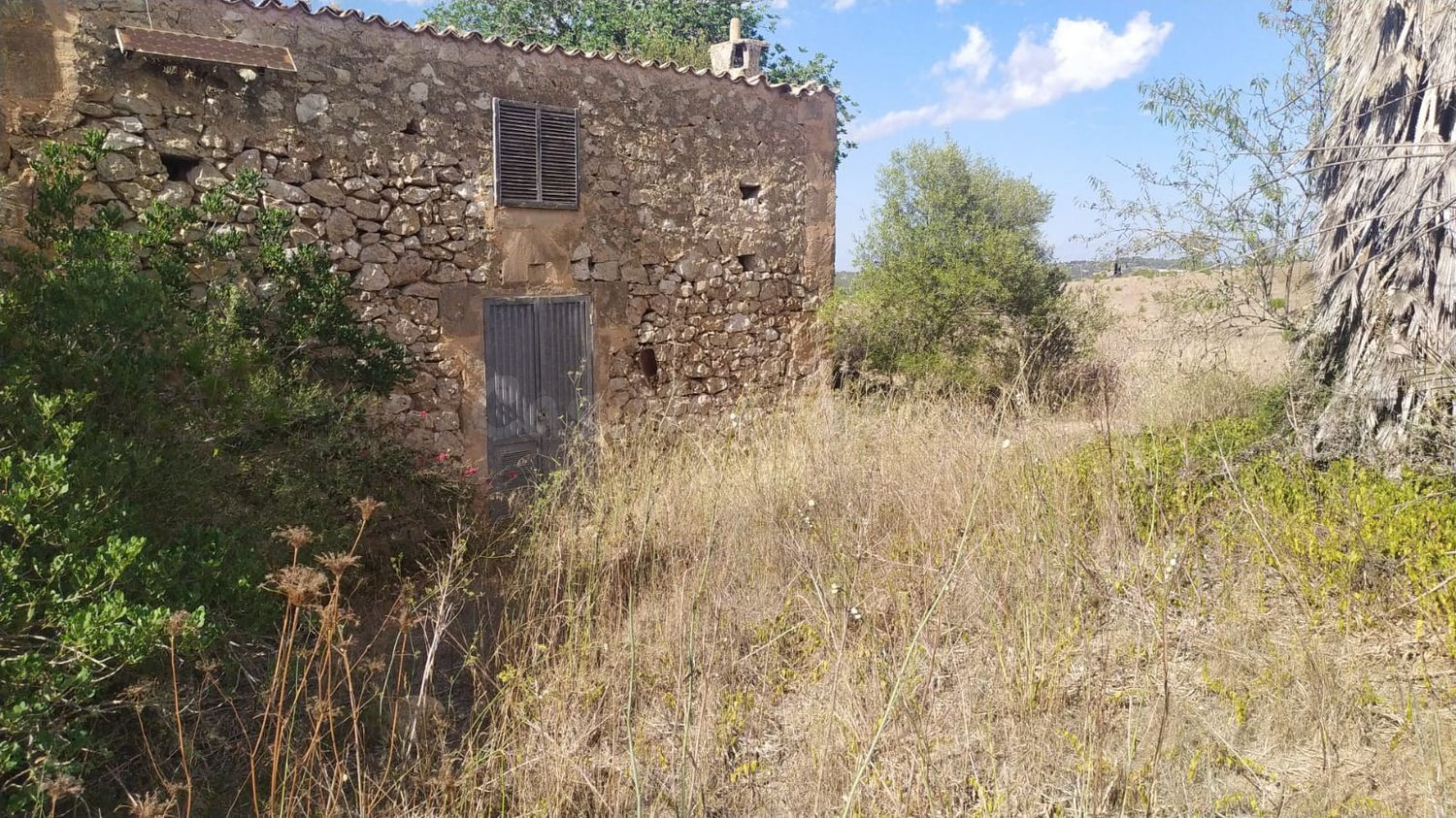 Finca rústica edificable en Algaida - foto 3