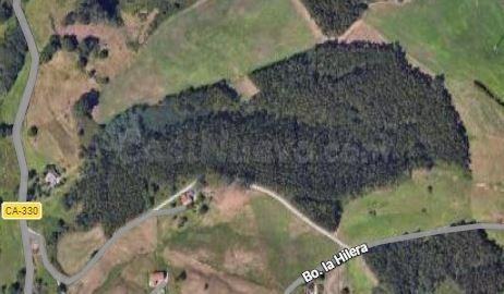 TERRENO EN VENTA ( CON EUCALIPTO)