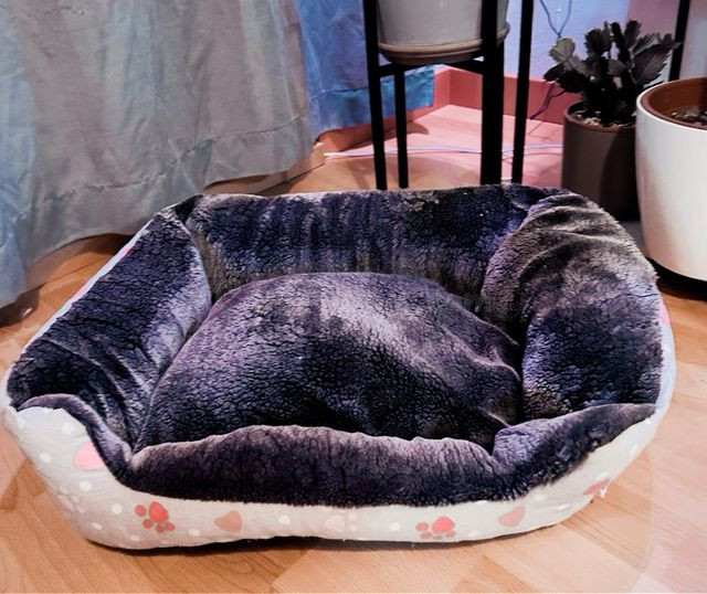 Cama / capazo para a animales