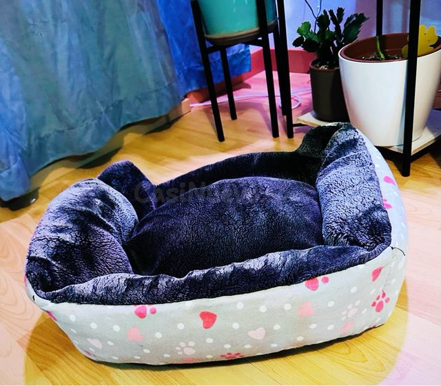 Cama / capazo para a animales - foto 3