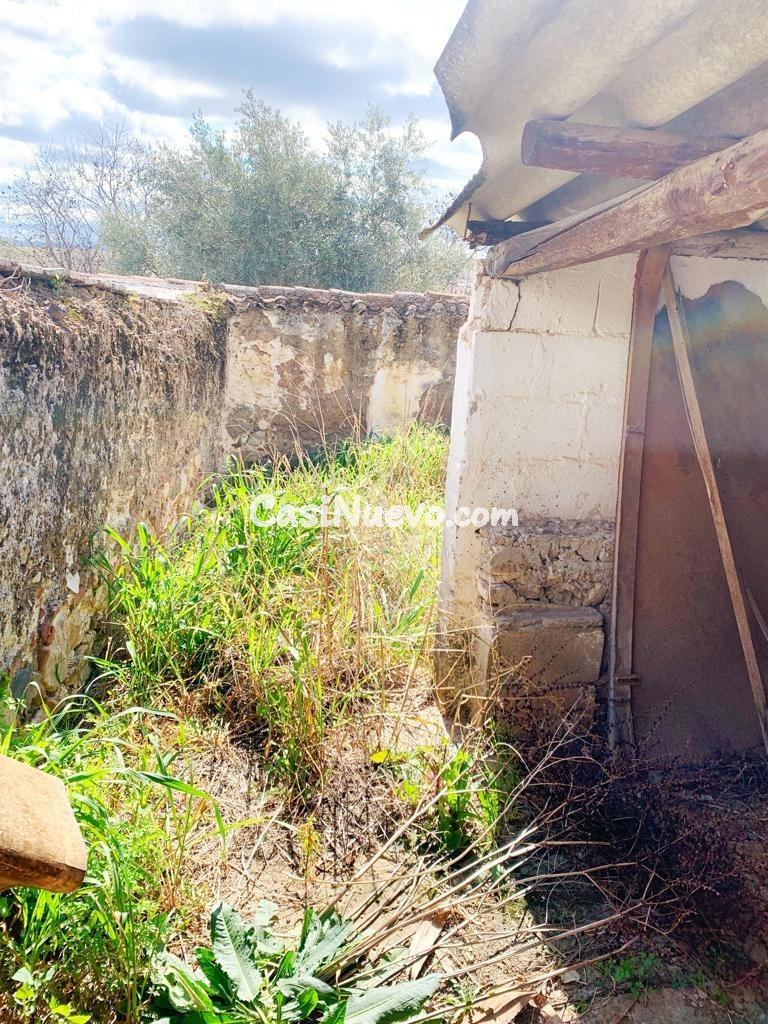 A. Casa para derribar y hacer proyecto nuevo en su solar de  - foto 11