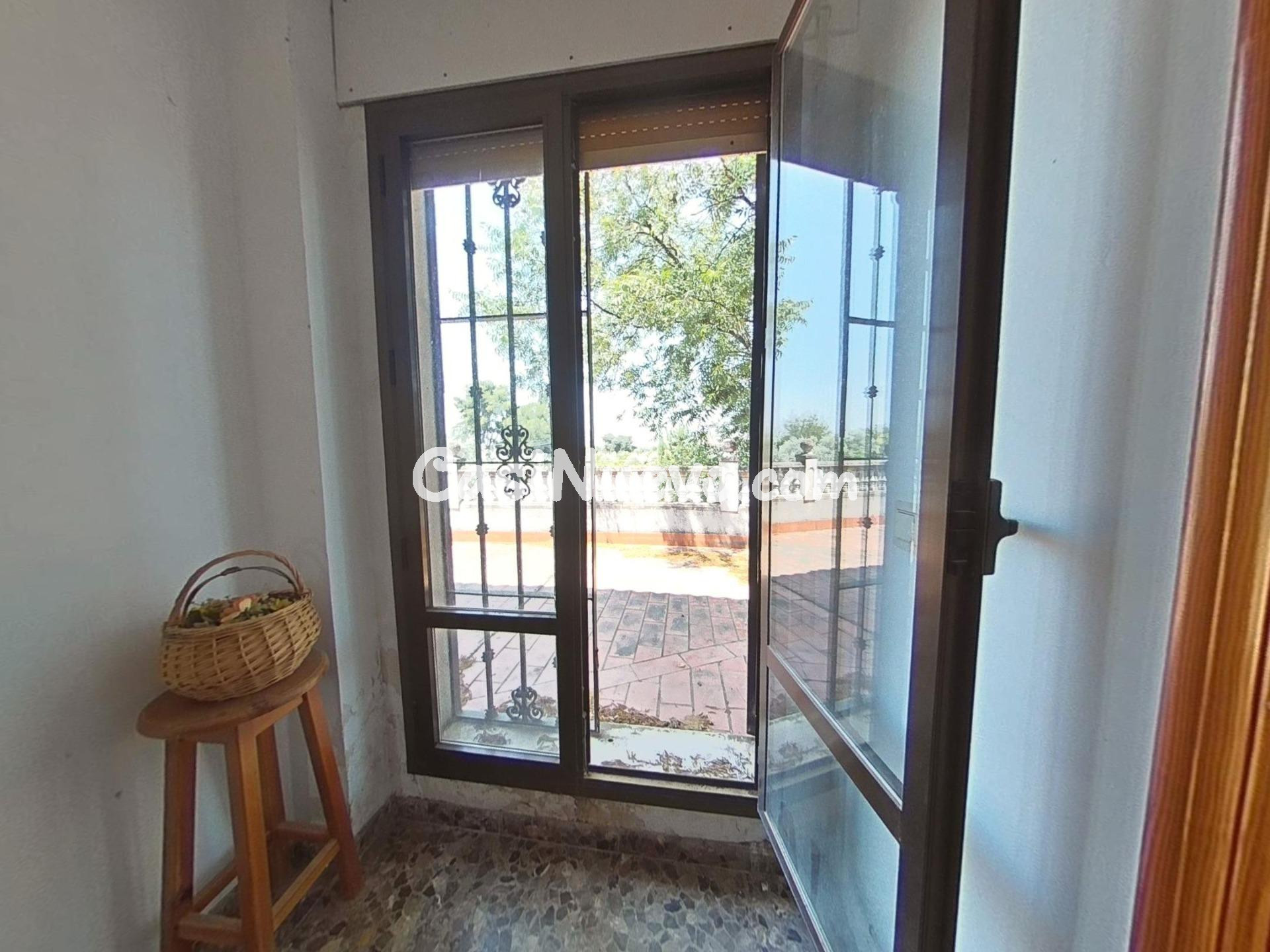 D. PARCELA RÚSTICA CON CASA EN LAS QUEMADILLAS - foto 16