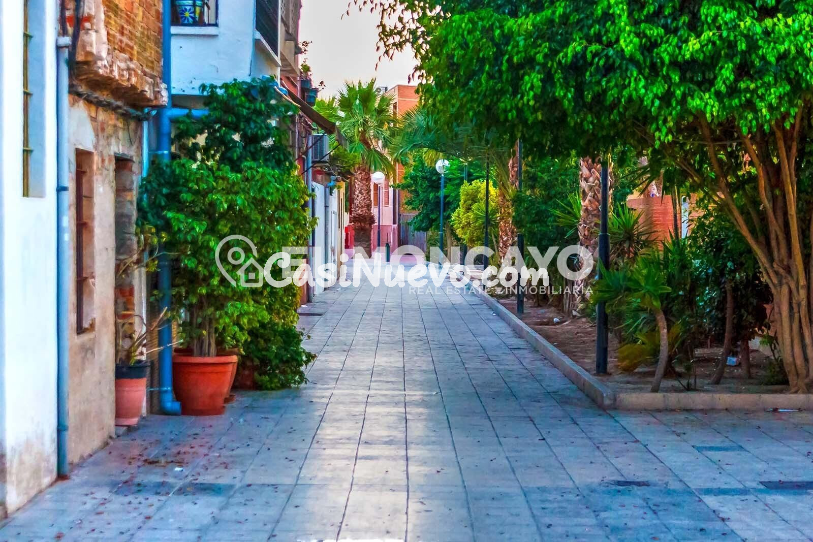 Fantástico adosado con terraza y garaje privado en Benejúzar - foto 28