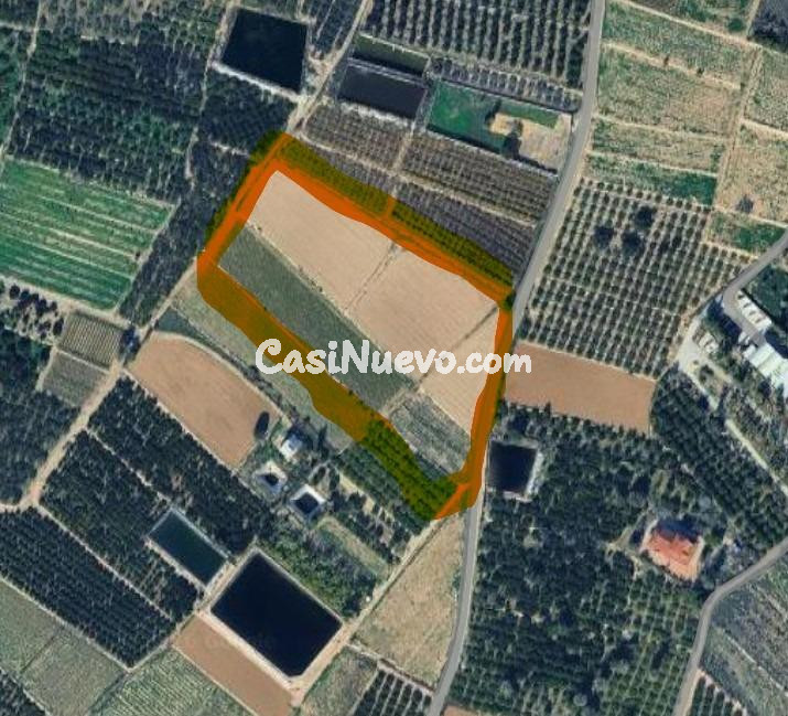 Gran parcela rústica con posibilidad de construir vivienda u