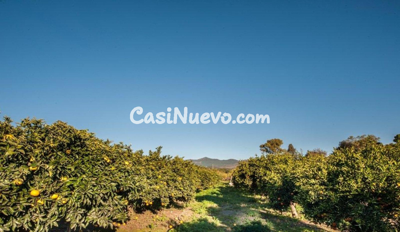 Magnifica Villa en Estepona | CABANILLAS REAL ESTATE - foto 21