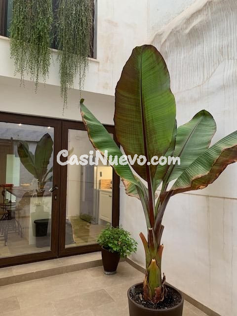 CASA INDEPENDIENTE EN RELLEU - foto 15