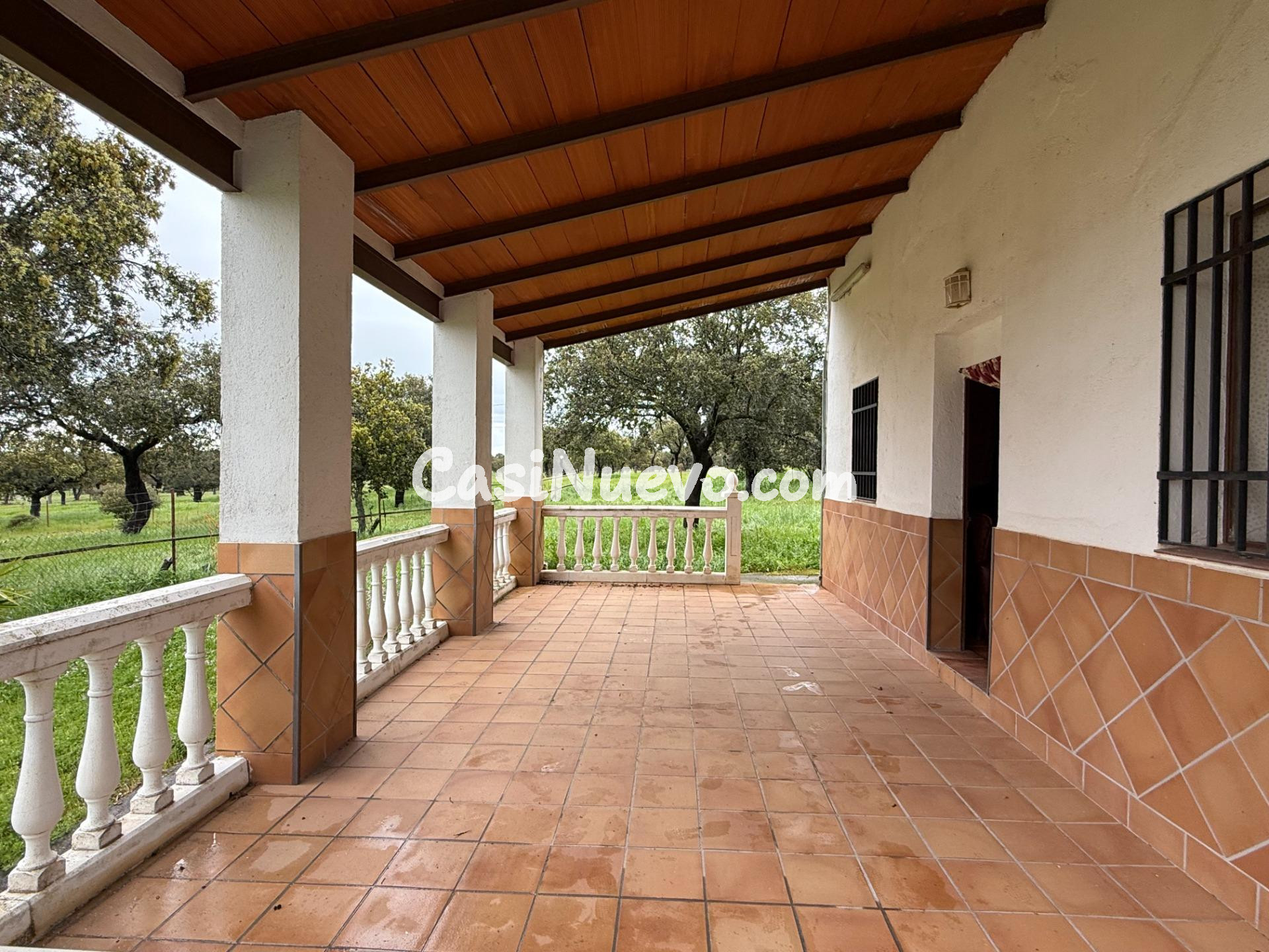 DEHESA EL ALFILEJO – ALCARACEJOS