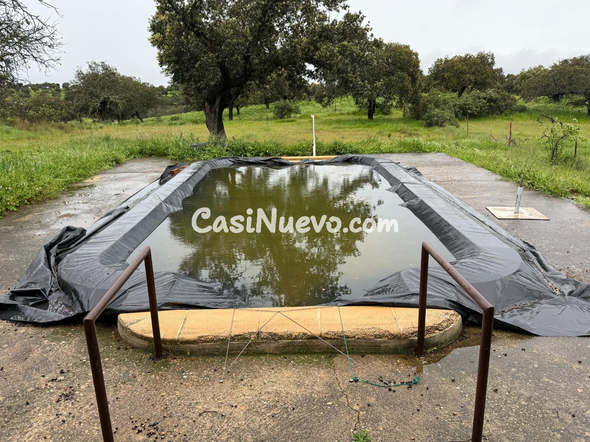 DEHESA EL ALFILEJO – ALCARACEJOS - foto 3