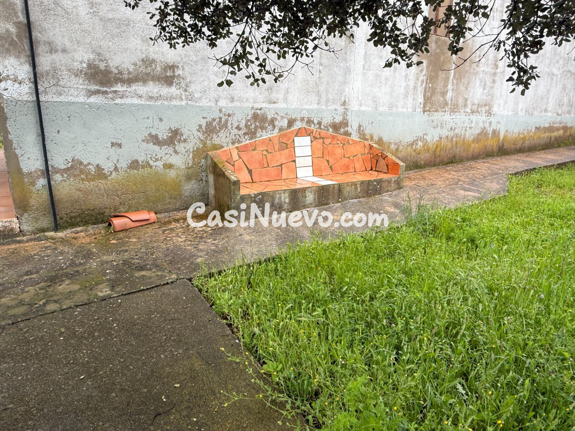 DEHESA EL ALFILEJO – ALCARACEJOS - foto 4