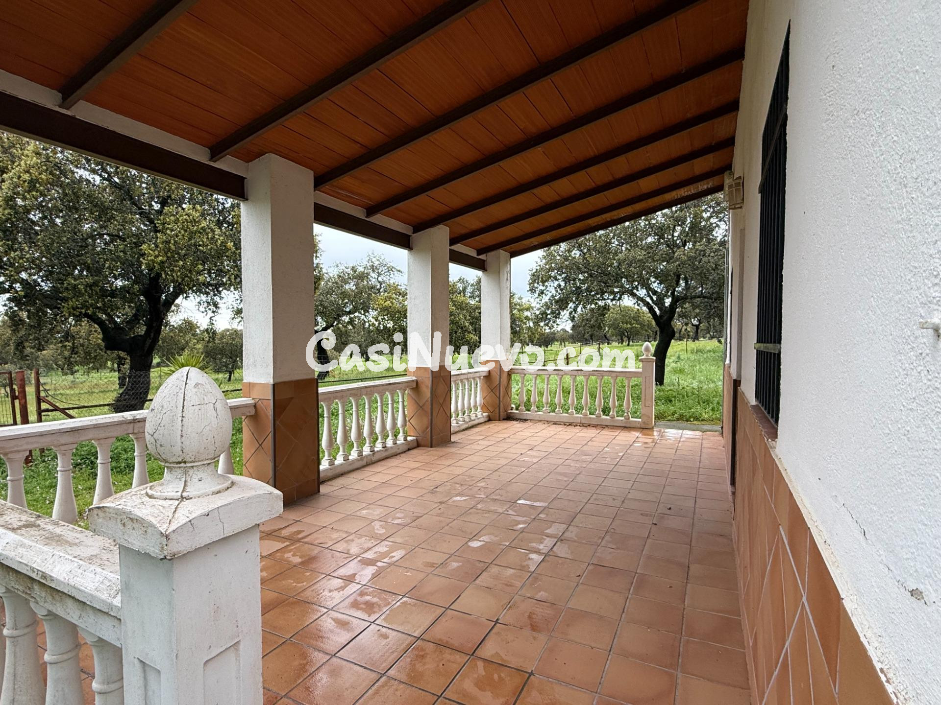 DEHESA EL ALFILEJO – ALCARACEJOS - foto 11