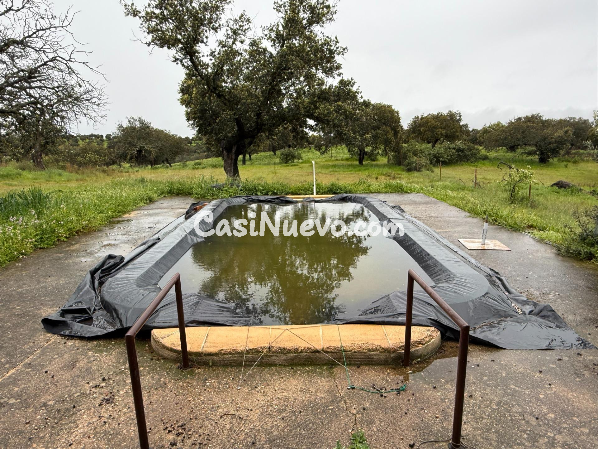 DEHESA EL ALFILEJO – ALCARACEJOS - foto 16