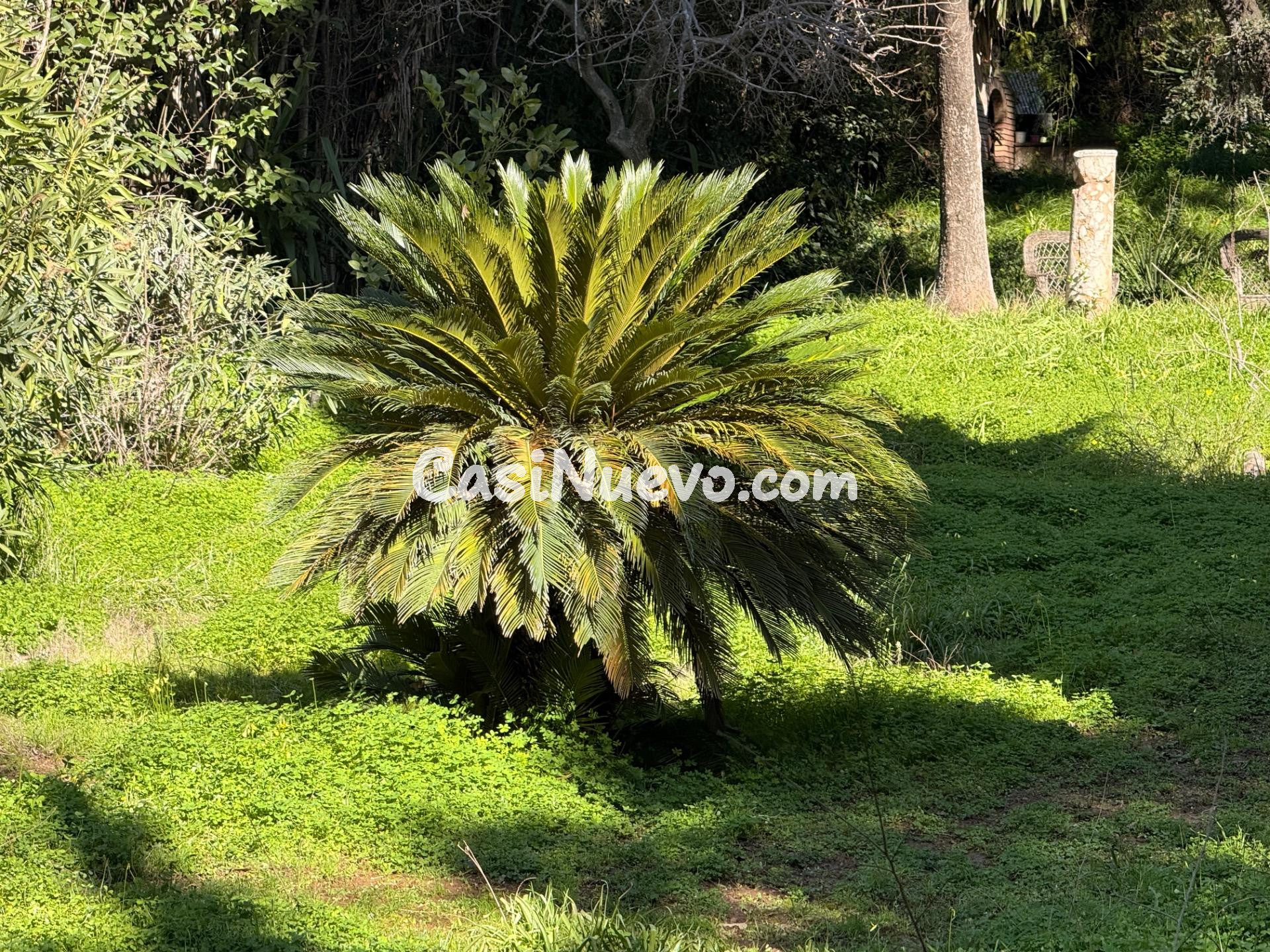 UNA PARCELA IDEAL DE 955 M2 EN EL BRILLANTE - foto 8