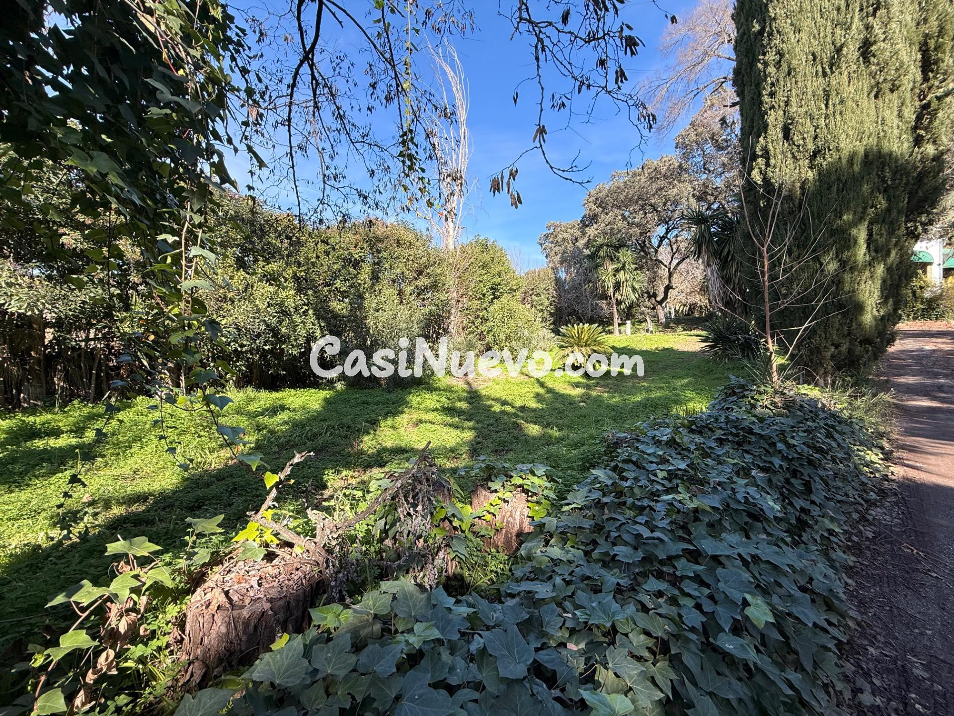 UNA PARCELA IDEAL DE 955 M2 EN EL BRILLANTE - foto 9