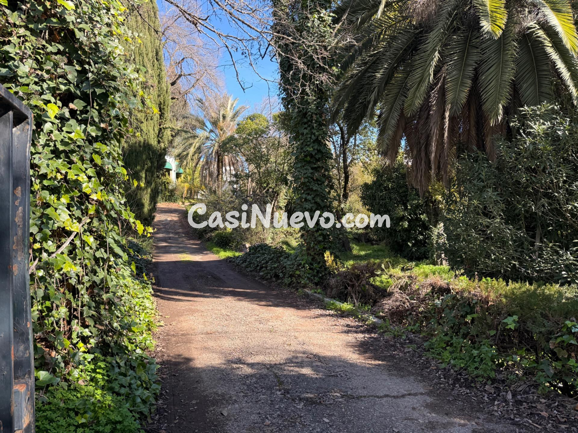 UNA PARCELA IDEAL DE 955 M2 EN EL BRILLANTE - foto 11