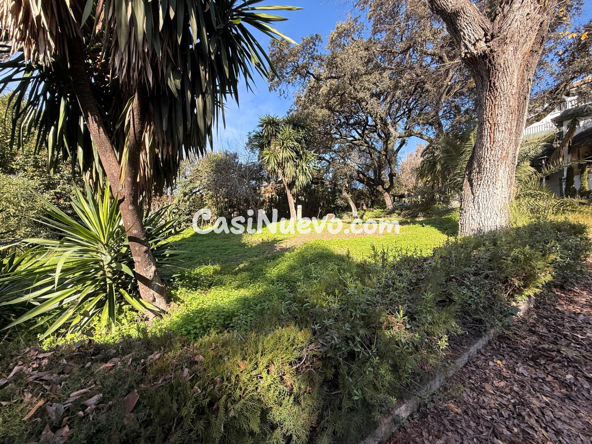 UNA PARCELA IDEAL DE 956 M2 EN EL BRILLANTE - foto 3