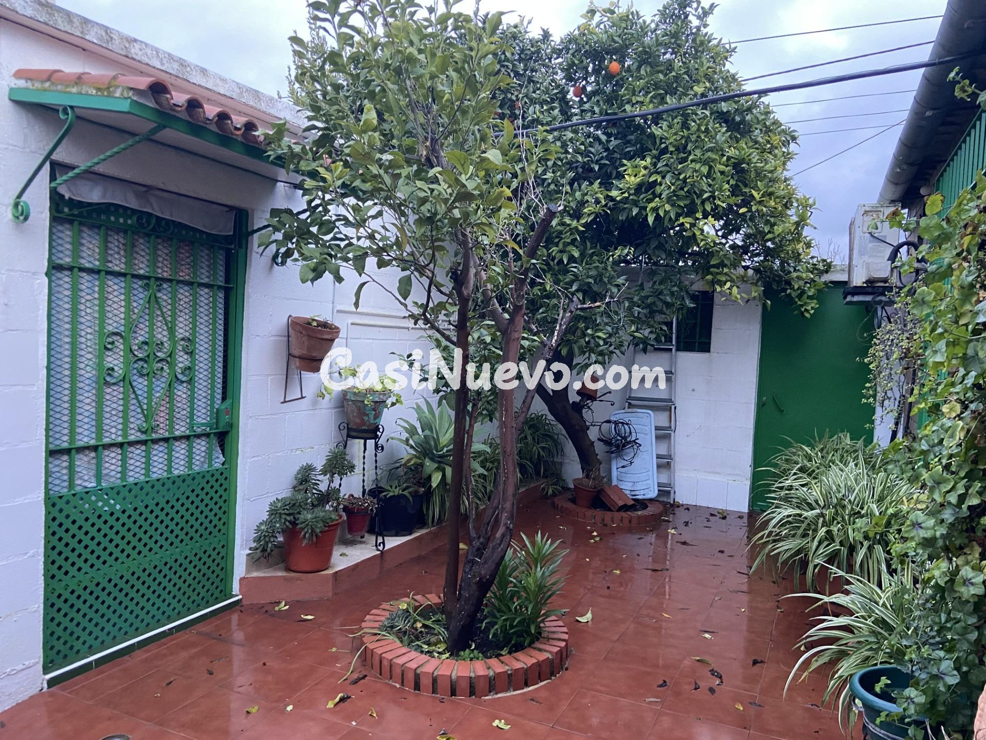 AMPLITUD Y BIENESTAR NATURAL SIN RENUNCIAR A LA PROXIMIDAD U - foto 7