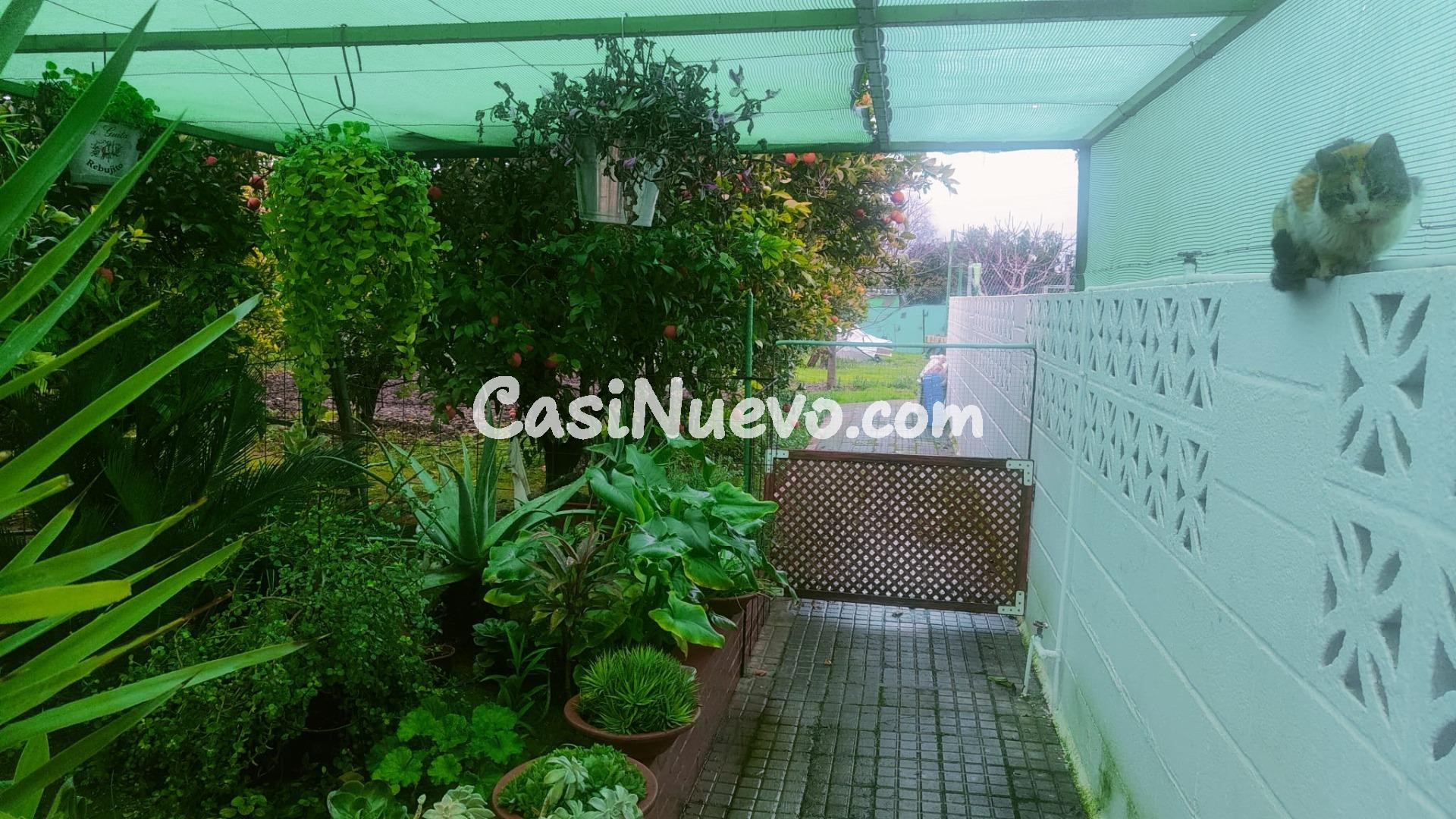 AMPLITUD Y BIENESTAR NATURAL SIN RENUNCIAR A LA PROXIMIDAD U - foto 11