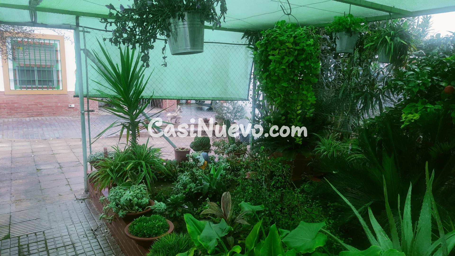 AMPLITUD Y BIENESTAR NATURAL SIN RENUNCIAR A LA PROXIMIDAD U - foto 13