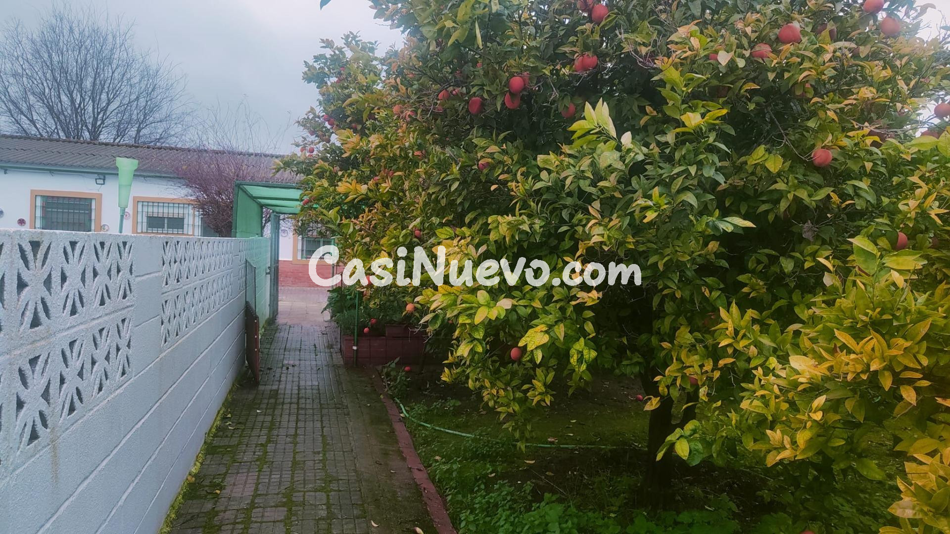 AMPLITUD Y BIENESTAR NATURAL SIN RENUNCIAR A LA PROXIMIDAD U - foto 14