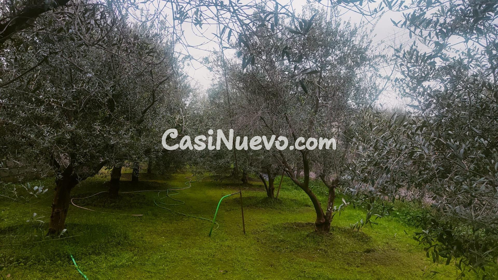 AMPLITUD Y BIENESTAR NATURAL SIN RENUNCIAR A LA PROXIMIDAD U - foto 16