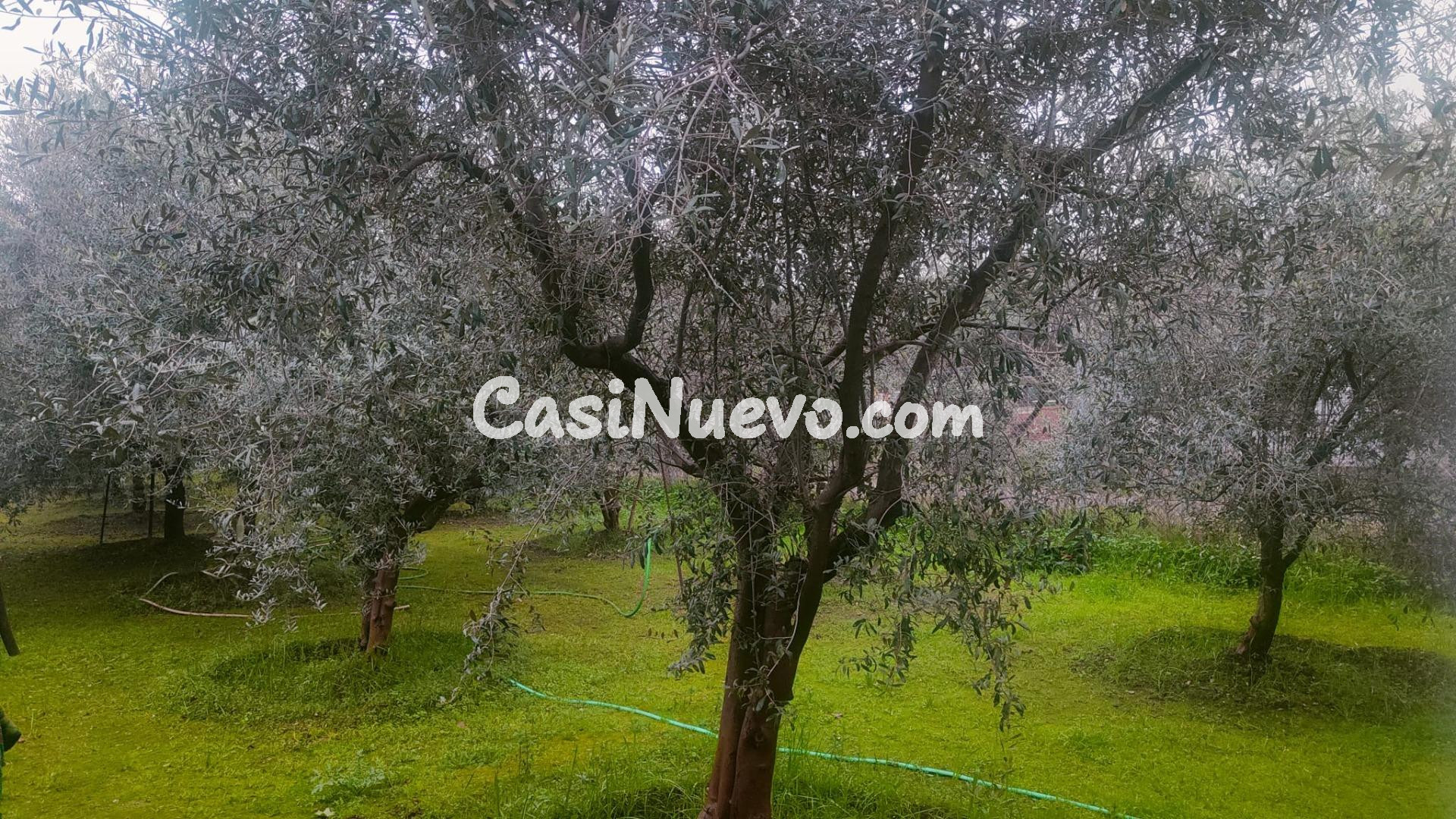 AMPLITUD Y BIENESTAR NATURAL SIN RENUNCIAR A LA PROXIMIDAD U - foto 18