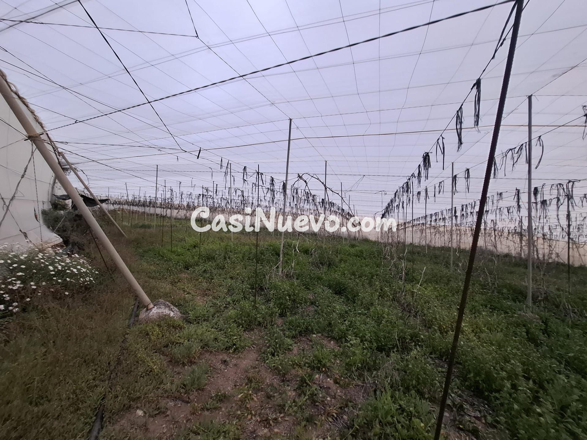 Venta de Terreno rústico agrario con invernadero de  5.747 m