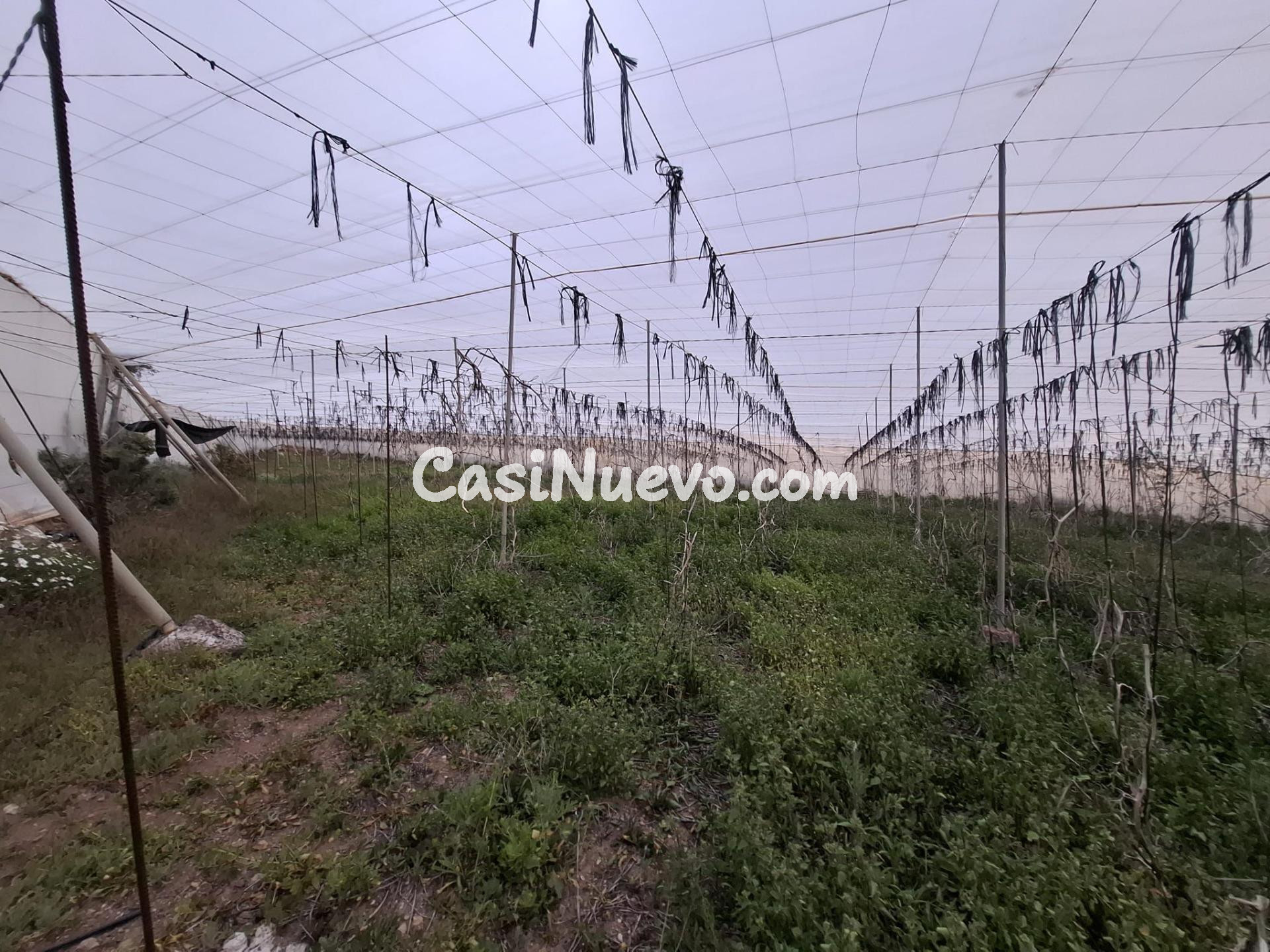 Venta de Terreno rústico agrario con invernadero de  5.747 m - foto 2