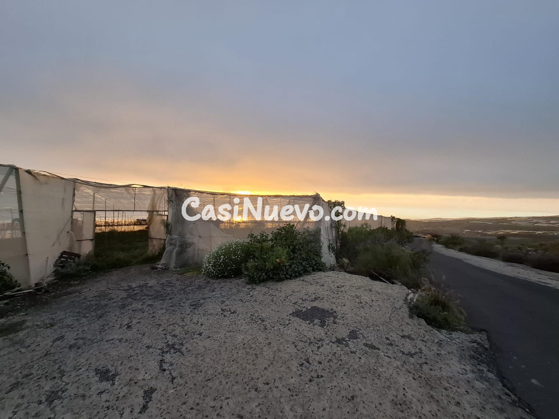 Venta de Terreno rústico agrario con invernadero de  5.747 m - foto 3