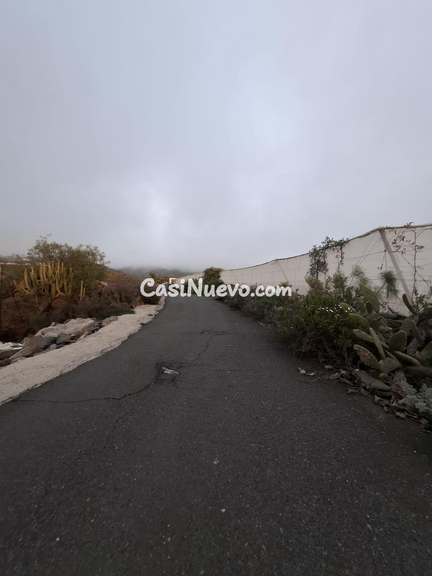 Venta de Terreno rústico agrario con invernadero de  5.747 m - foto 6