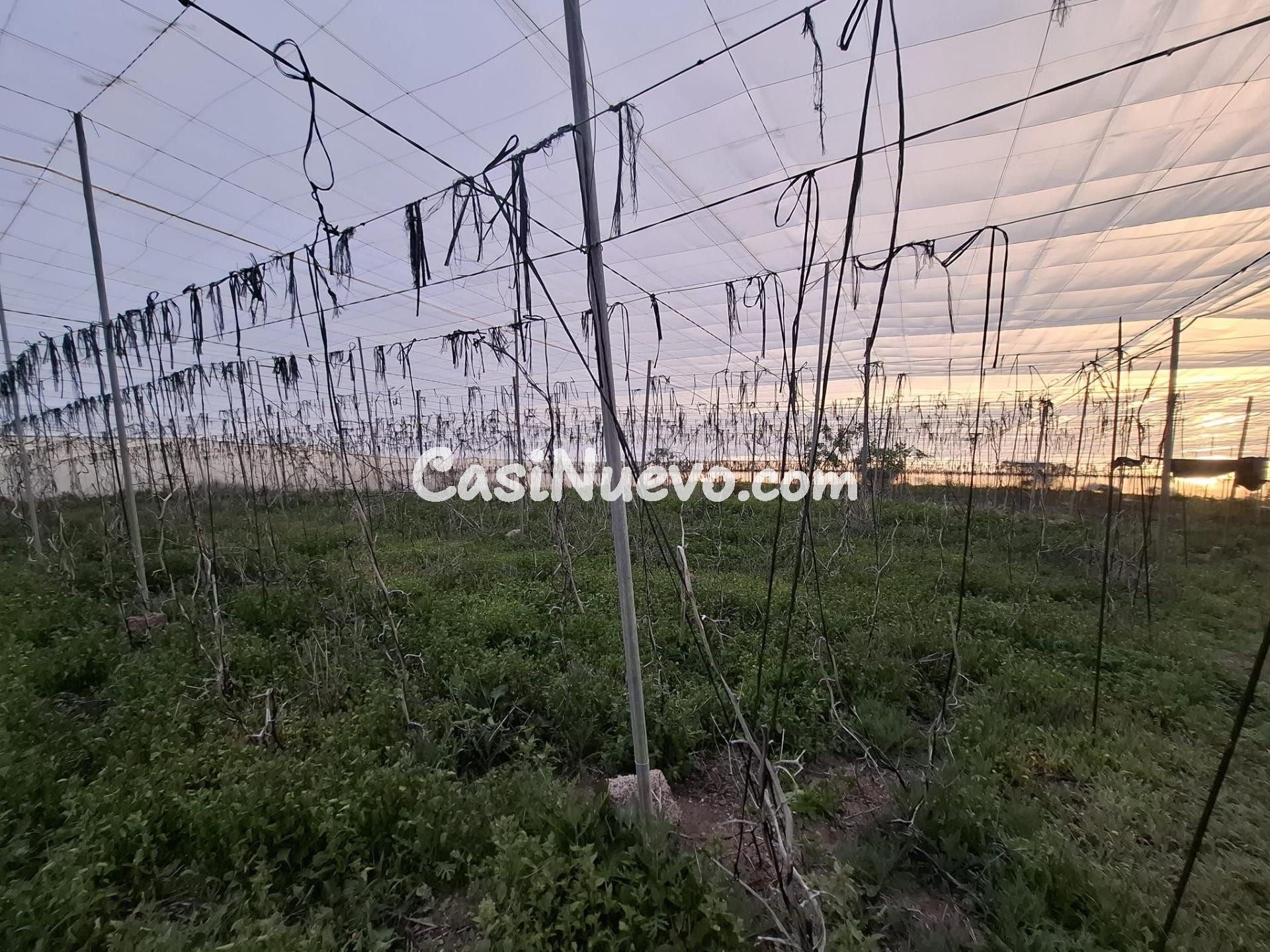Venta de Terreno rústico agrario con invernadero de  5.747 m - foto 10