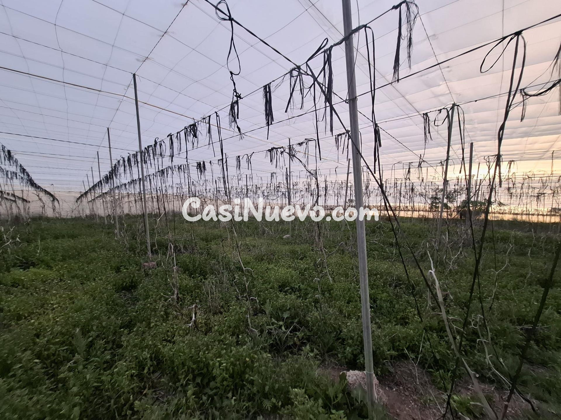 Venta de Terreno rústico agrario con invernadero de  5.747 m - foto 11