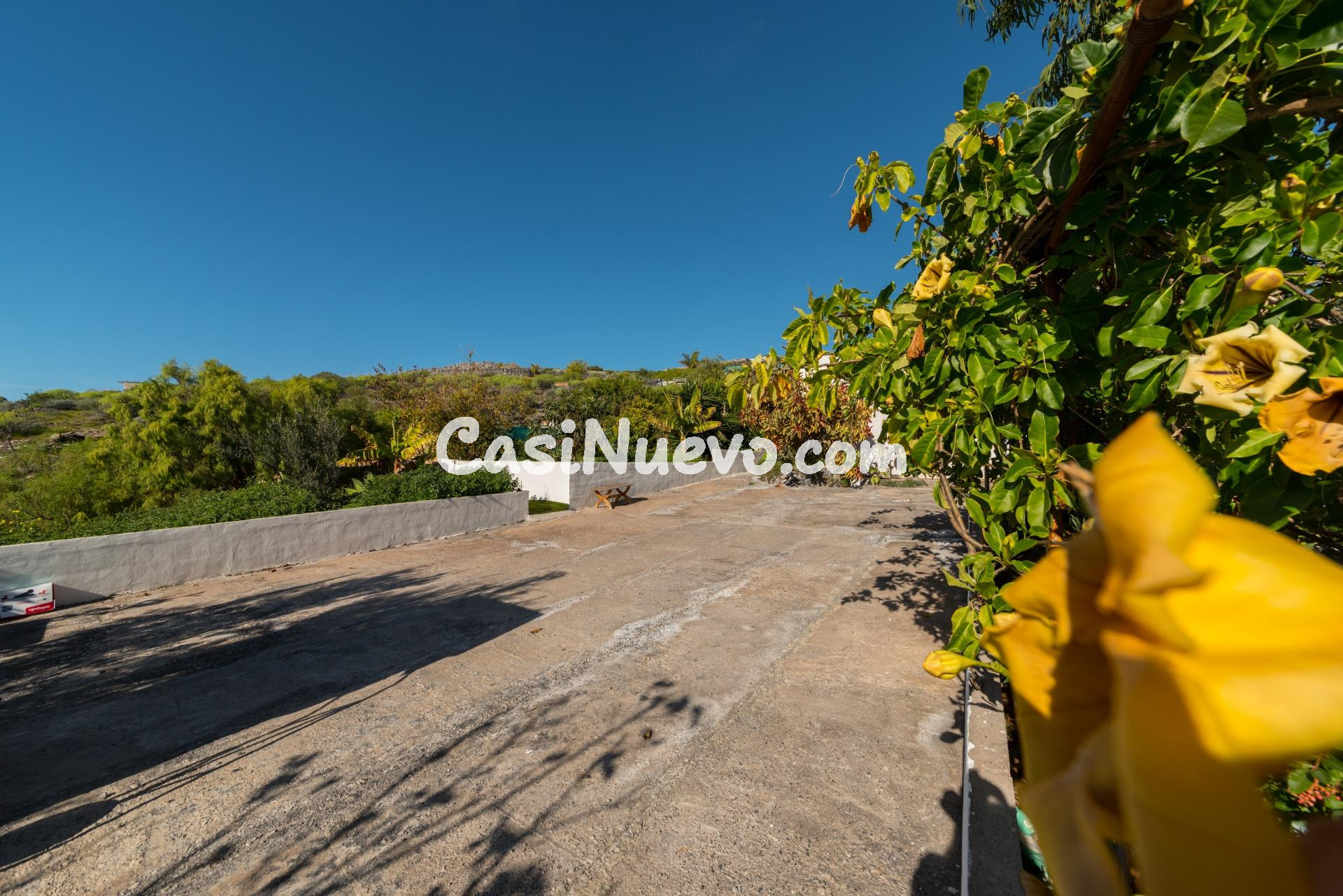 Venta de casa terrera de 107 m2 y terreno de 2700 m2 . Oport - foto 8