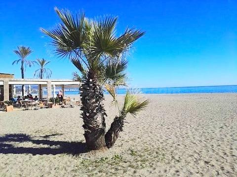 Elegante adosado reformado en Pueblo de Guadalmina – A pocos - foto 2