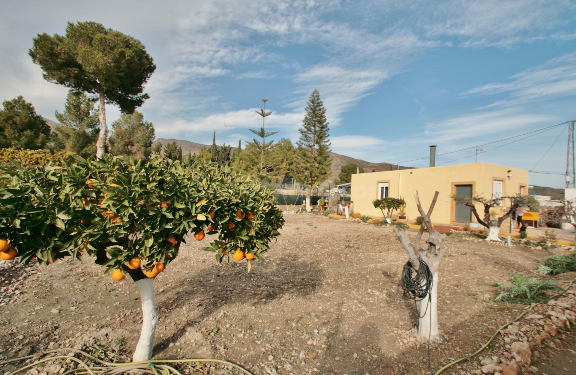 MARAVILLOSA FINCA EN NIJAR VILLA - foto 4