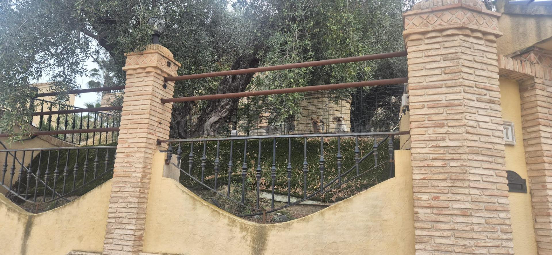 Oportunidad Única en La Alcayna: Vivienda Unifamiliar con Am - foto 3