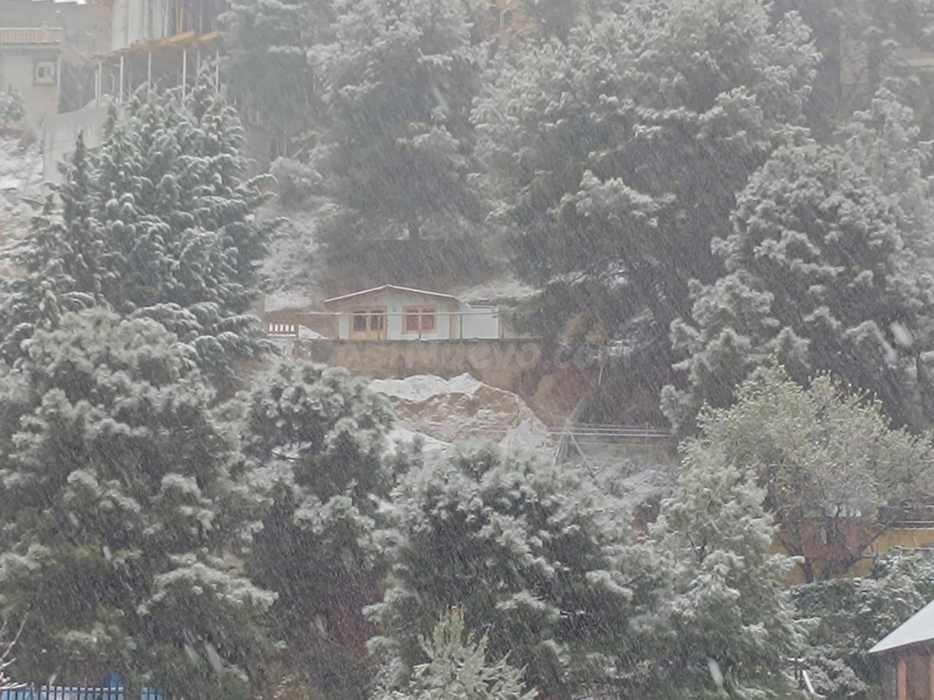 Parcela con una casita de madera en Cumbres Verdes.