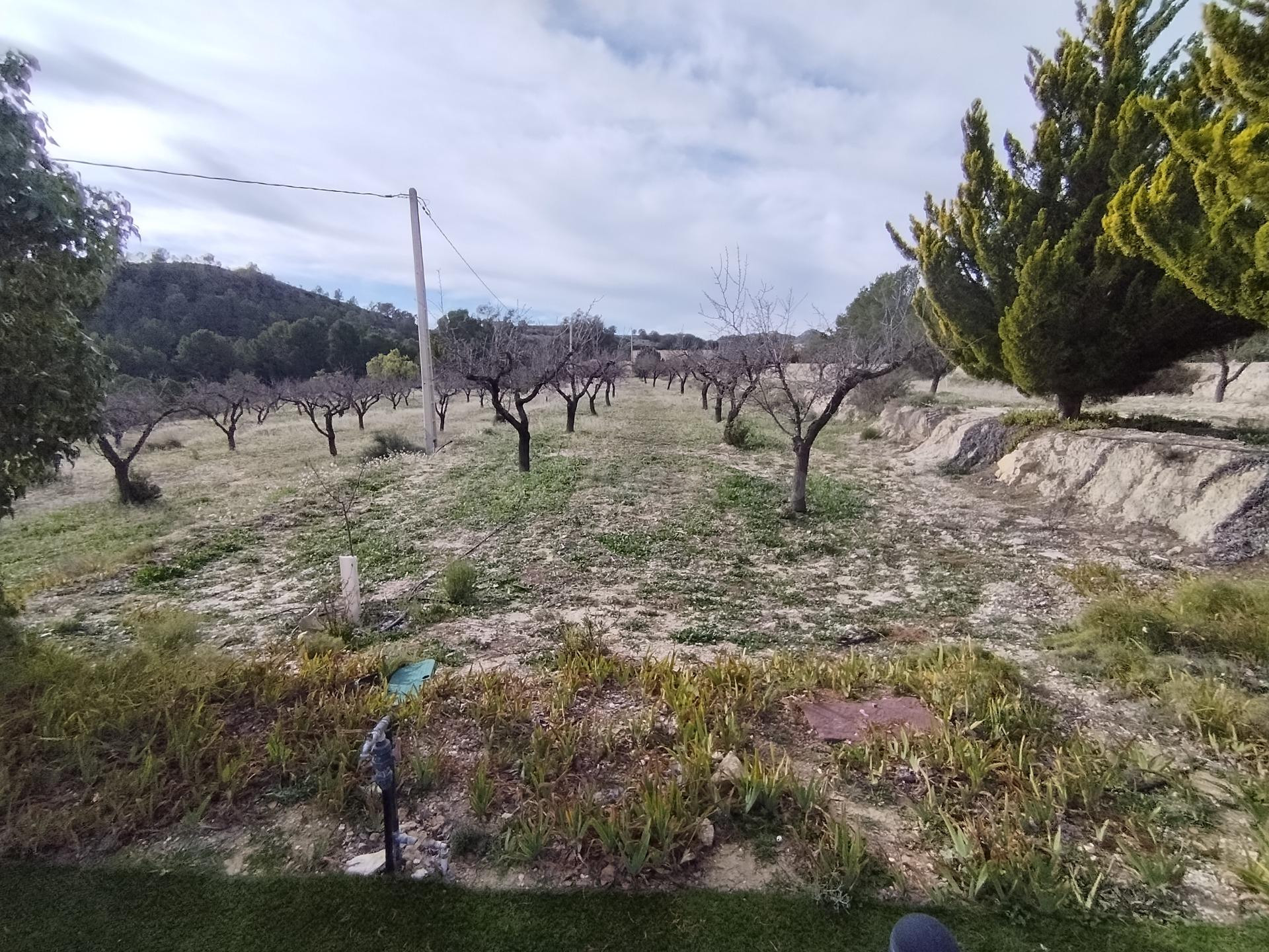 Preciosa finca rústica con excelente potencial en Relleu - foto 4