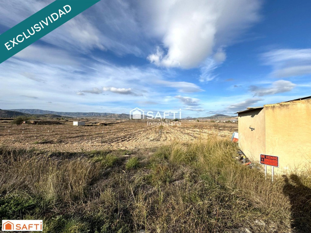 EXCLUSIVA OPORTUNIDAD – PARCELAS RÚSTICAS EN CASAS DE SANCHI - foto 3