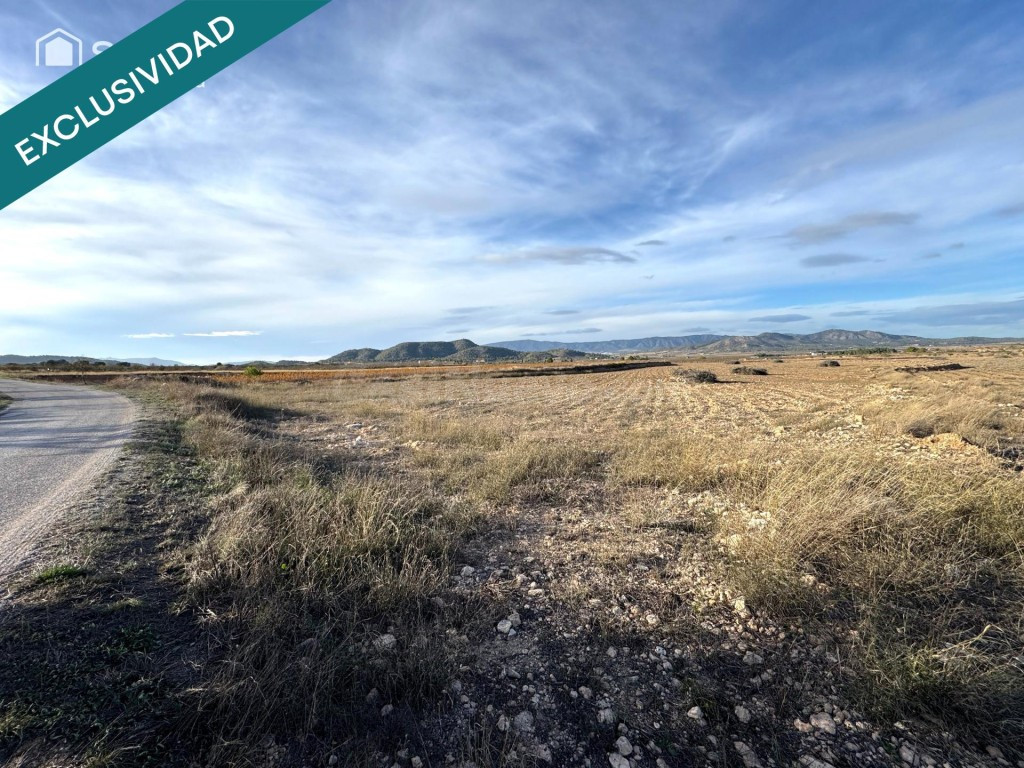 EXCLUSIVA OPORTUNIDAD – PARCELAS RÚSTICAS EN CASAS DE SANCHI - foto 3