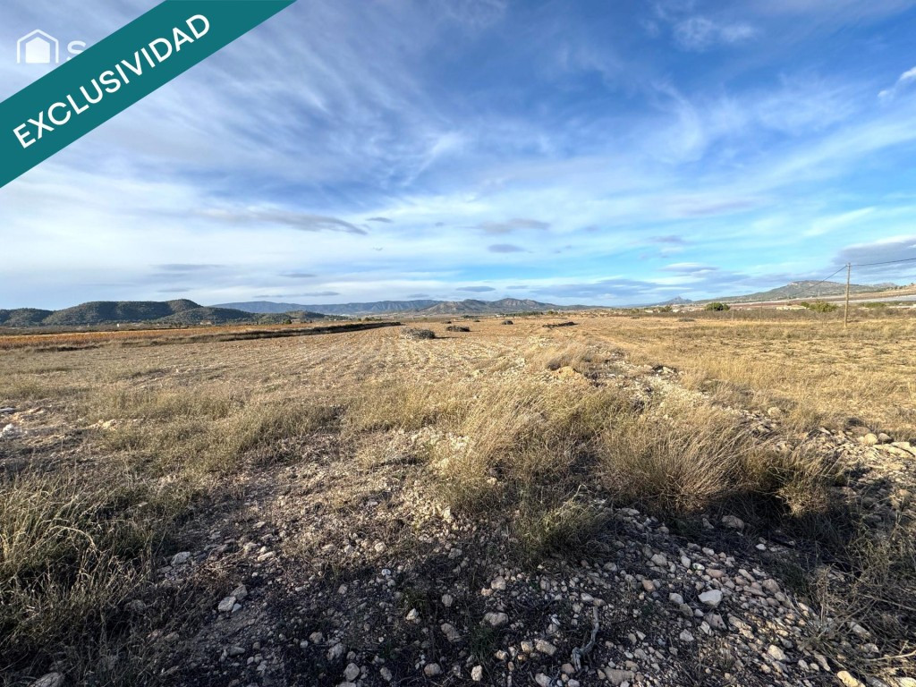 EXCLUSIVA OPORTUNIDAD – PARCELAS RÚSTICAS EN CASAS DE SANCHI - foto 4